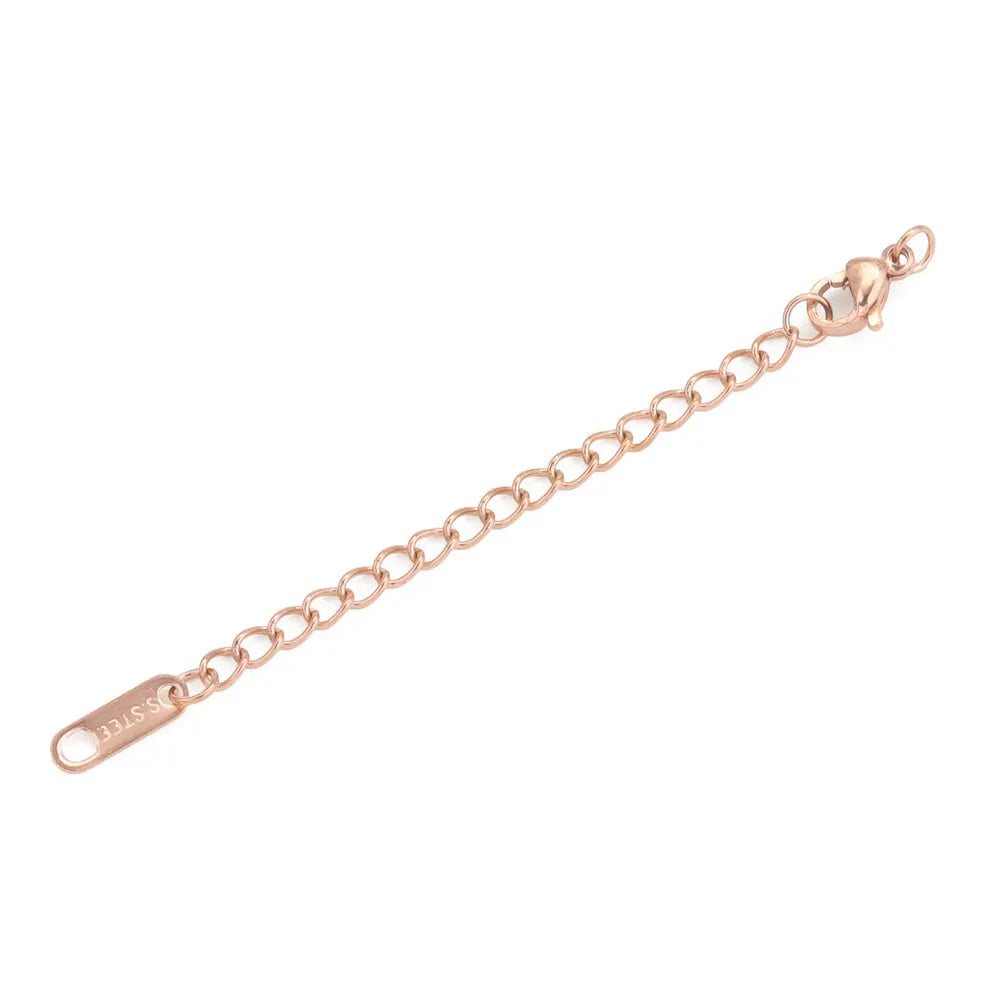 Stainless Steel Extension Chains