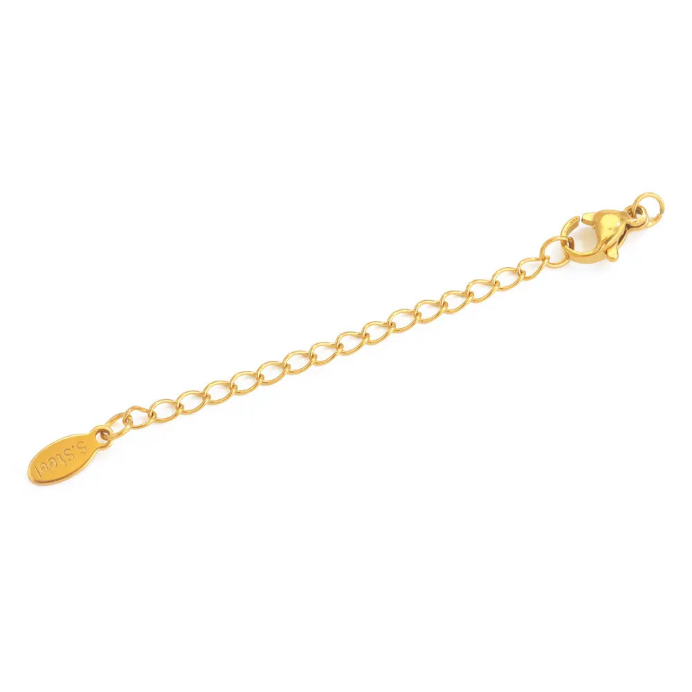 Stainless Steel Extension Chains