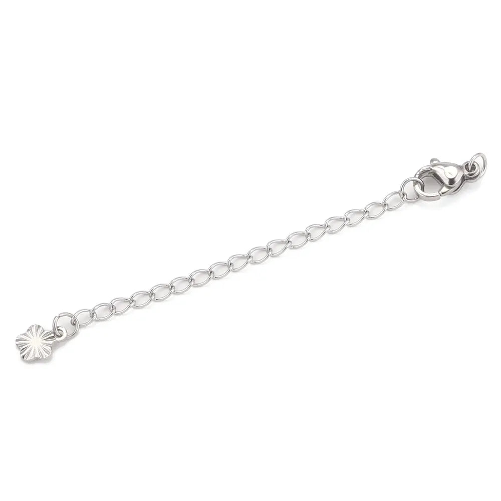 Stainless Steel Extension Chains