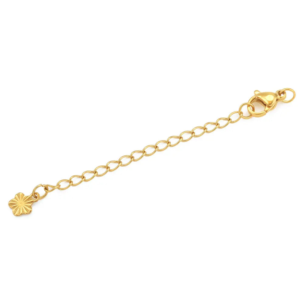 Stainless Steel Extension Chains